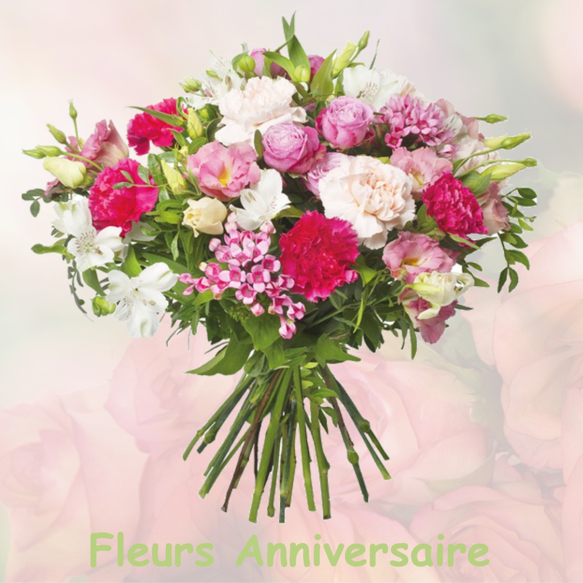 fleurs anniversaire AUCHY-LA-MONTAGNE